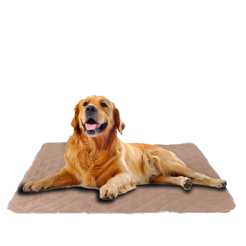 PaWz 2 Pcs 120x120 cm Reusable Waterproof Pet Puppy Toilet Training Pads PaWz