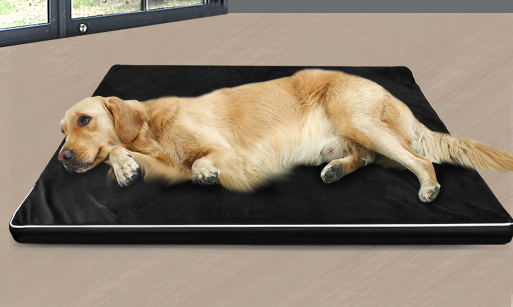 PaWz Pet Bed Dog Beds Cushion Cover Mat Soft Calming Pillow Mat Puppy Bedding 5cm PaWz