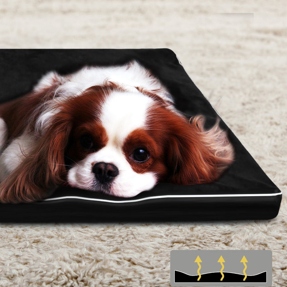 PaWz Pet Bed Dog Beds Cushion Cover Mat Soft Calming Pillow Mat Puppy Bedding 5cm PaWz