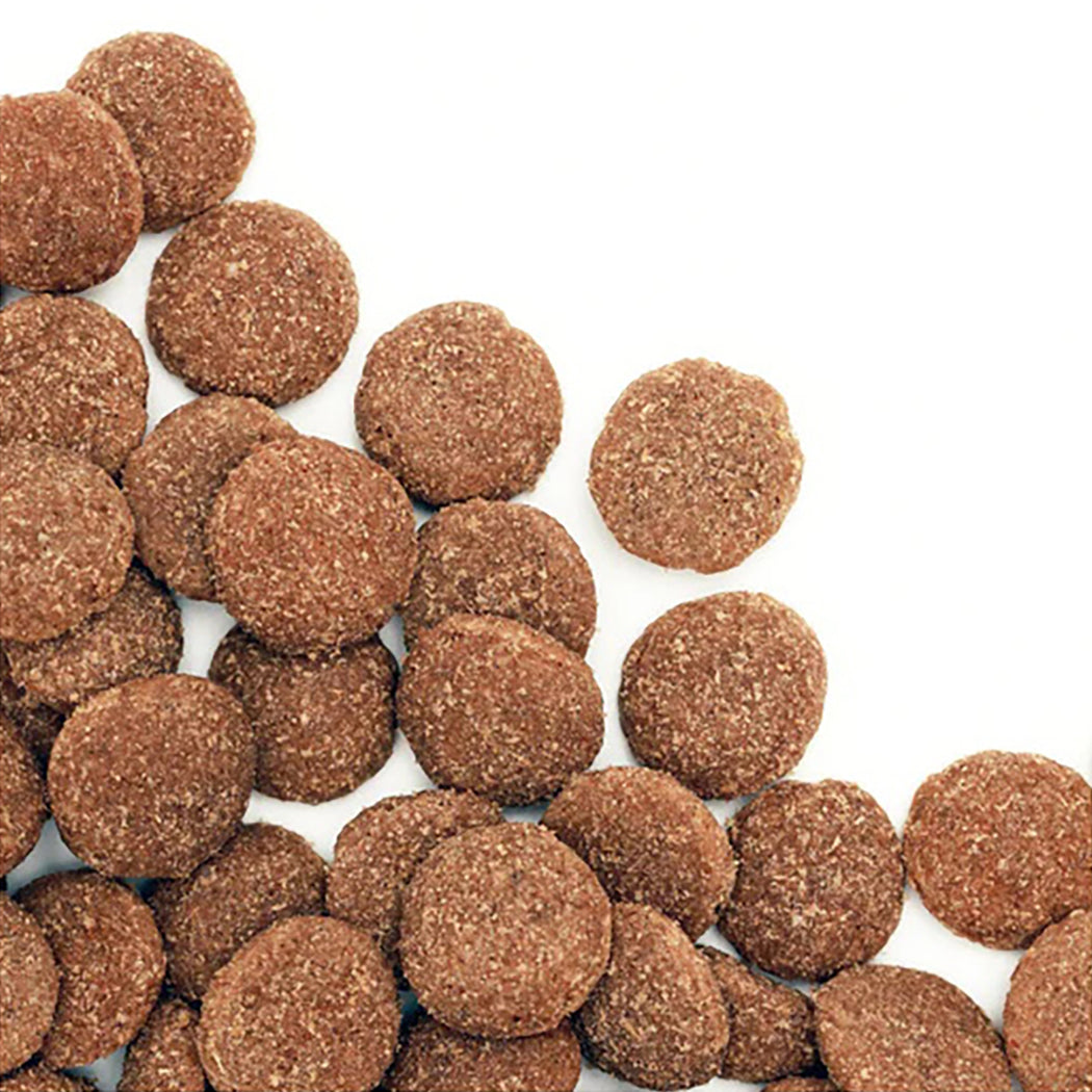 Bonnie Adult Working Dog Dry Food Active Large Breeds Real Kangaroo 20kg Bonnie