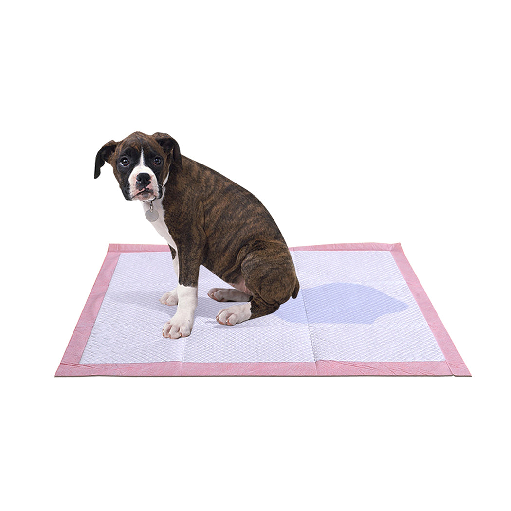 PaWz 200 Pcs 60x60 cm Pet Puppy Toilet Training Pads Absorbent Lavender Scent PaWz