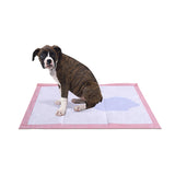 PaWz 200 Pcs 60x60 cm Pet Puppy Toilet Training Pads Absorbent Lavender Scent PaWz