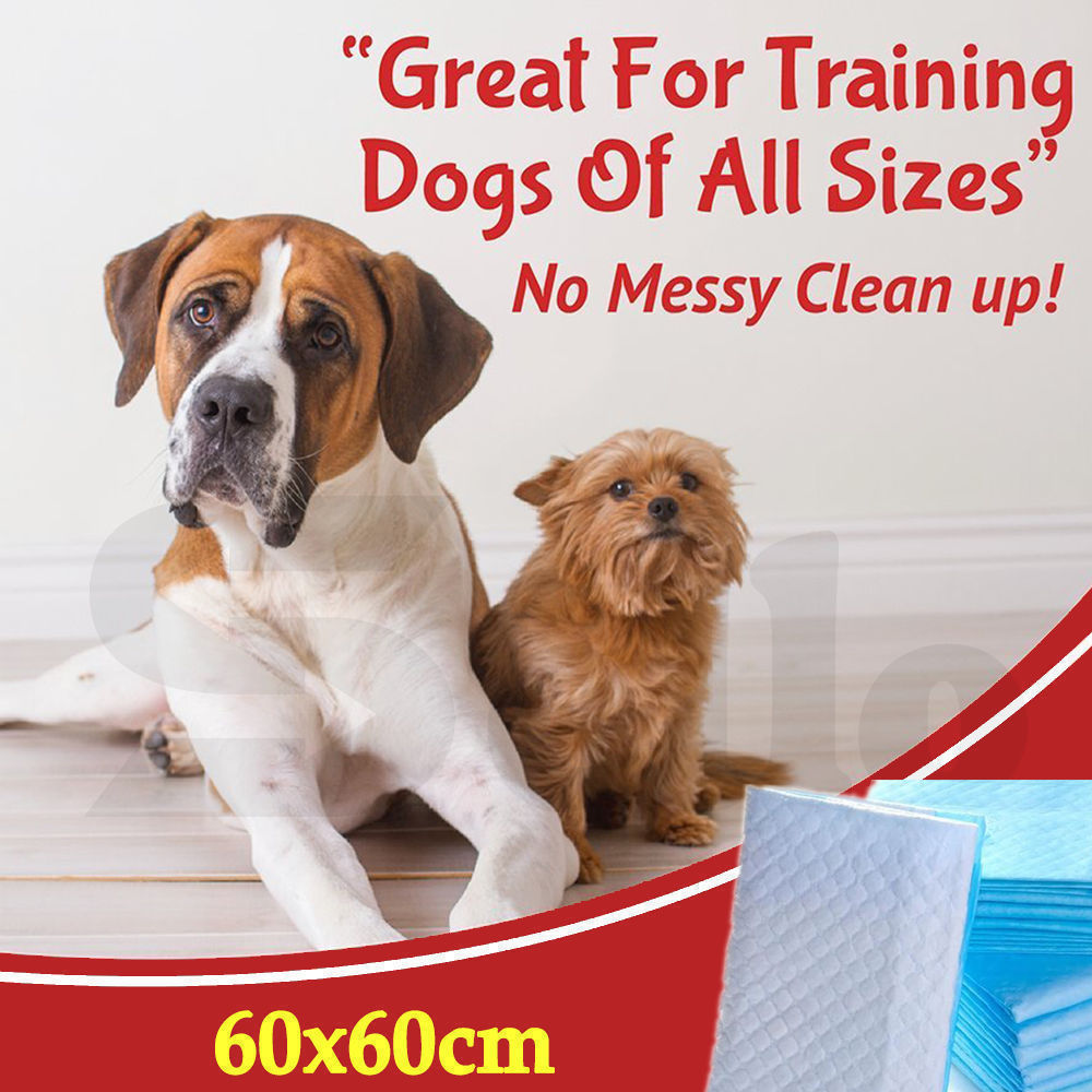 PaWz 100 Pcs 60x60cm Ultra Absorbent Puppy Pet Dog Cat Toilet Training Pads Blue PaWz