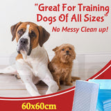 PaWz 100 Pcs 60x60cm Ultra Absorbent Puppy Pet Dog Cat Toilet Training Pads Blue PaWz