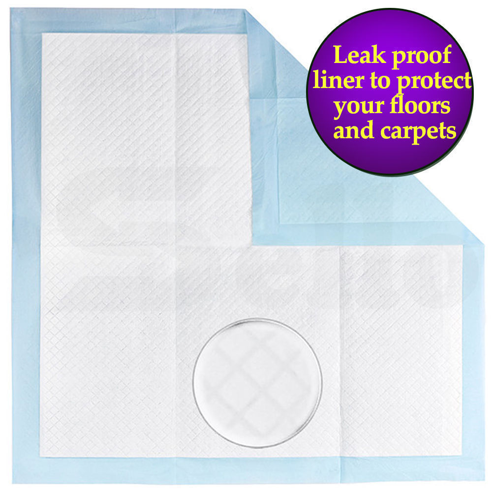 PaWz 100 Pcs 60x60cm Ultra Absorbent Puppy Pet Dog Cat Toilet Training Pads Blue PaWz