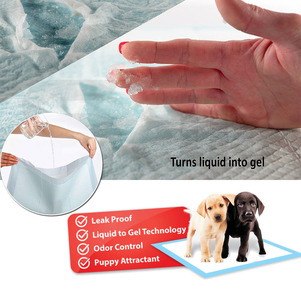 PaWz 100 Pcs 60x60cm Ultra Absorbent Puppy Pet Dog Cat Toilet Training Pads Blue PaWz