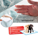 PaWz 100 Pcs 60x60cm Ultra Absorbent Puppy Pet Dog Cat Toilet Training Pads Blue PaWz