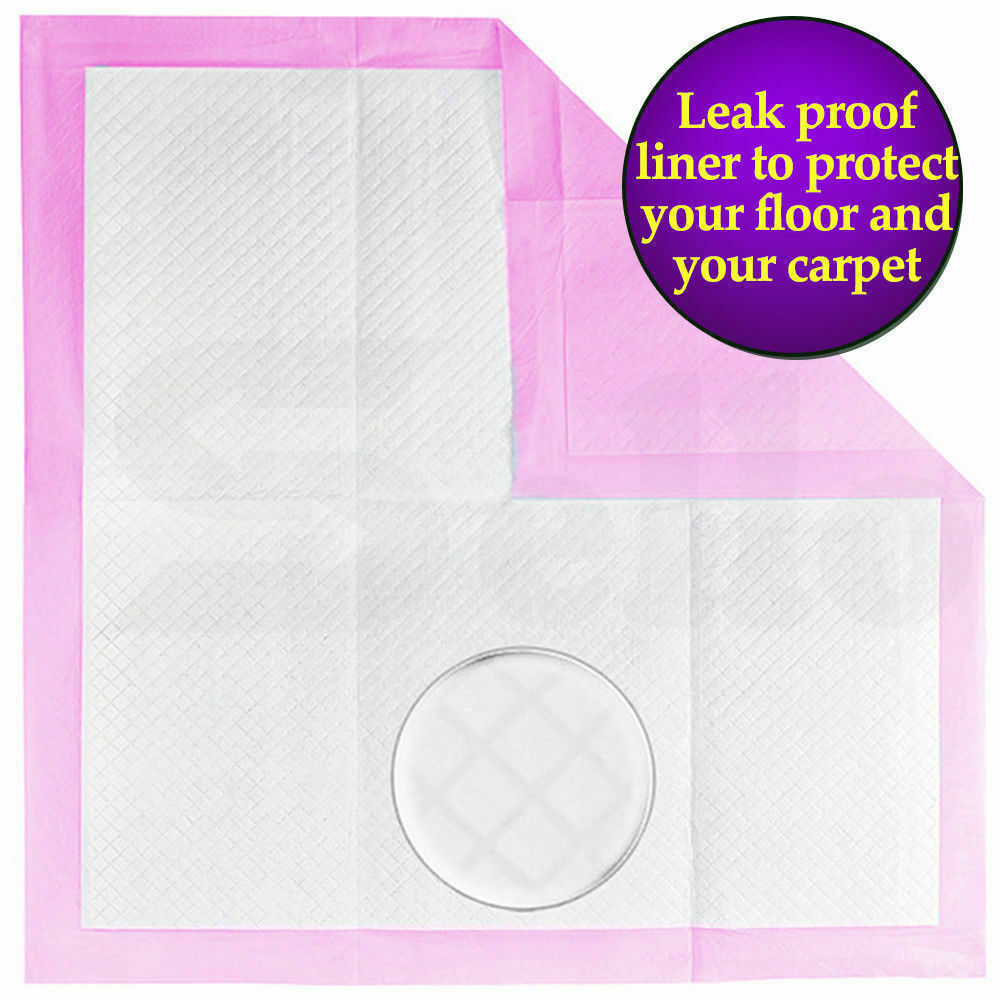 PaWz 100pcs 60x60cm Puppy Pet Dog Indoor Cat Toilet Training Pads Absorbent Pink PaWz
