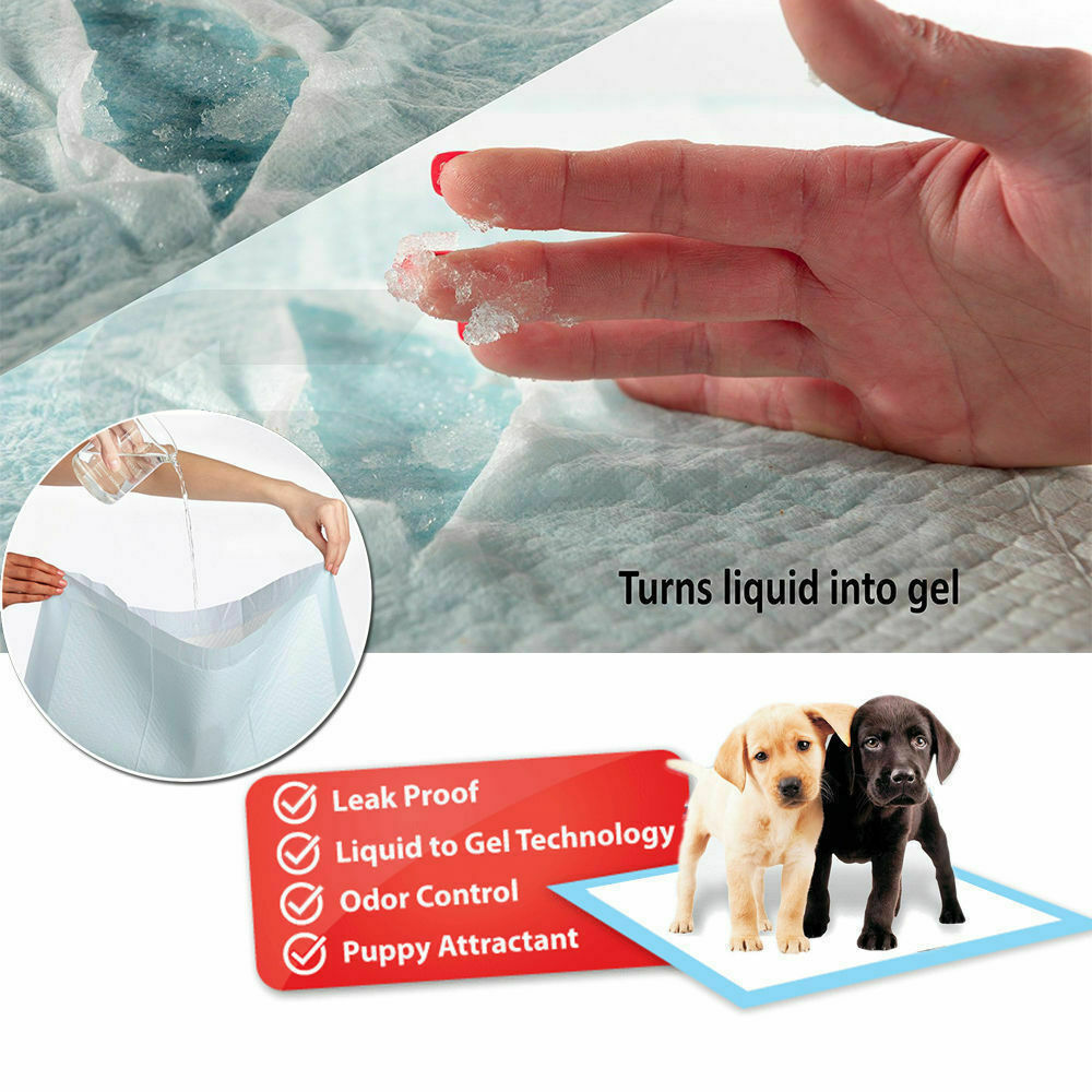 PaWz 400pcs 60x60cm Puppy Pet Dog Indoor Cat Toilet Training Pads Absorbent New PaWz