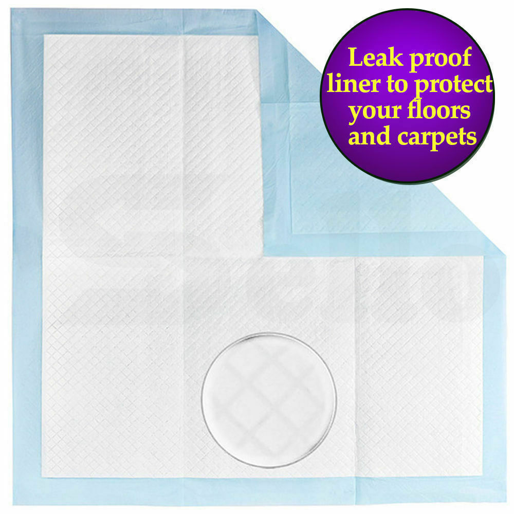 PaWz 400pcs 60x60cm Puppy Pet Dog Indoor Cat Toilet Training Pads Absorbent New PaWz