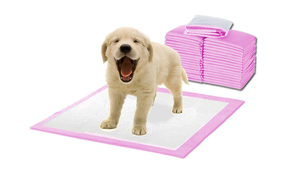 PaWz 400pc 60x60cm Puppy Pet Dog Indoor Cat Toilet Training Pads Absorbent Pink PaWz