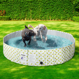 PaWz 160cm Pet Dog Swimming Pool Cat Portable BathTub Kid Shower Washing Folding PaWz