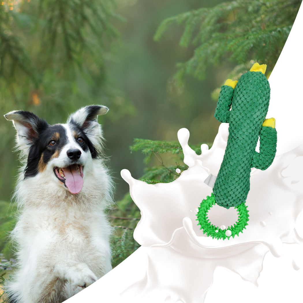 PaWz Dog Chew Toys Squeaky Puppy Soft Plush Play Non-toxic Teething Interactive Petsleisure