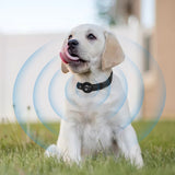 PaWz Bluetooth Pet Tracker Collar Dog Locator GPS Smart Waterproof 120m Black Petsleisure