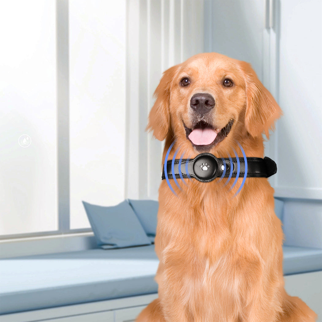 PaWz Bluetooth Pet Tracker Collar Dog Locator GPS Smart Waterproof 120m Black Petsleisure