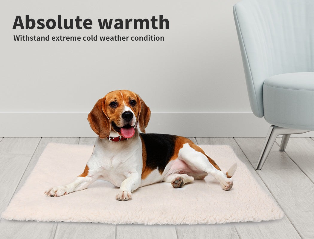PaWz Pet Bed Heated Dog Cat Soft Mattress Cushion Pillow Mat L PaWz