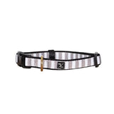 Mog And Bone Neoprene Collar Latte Hampton Stripe