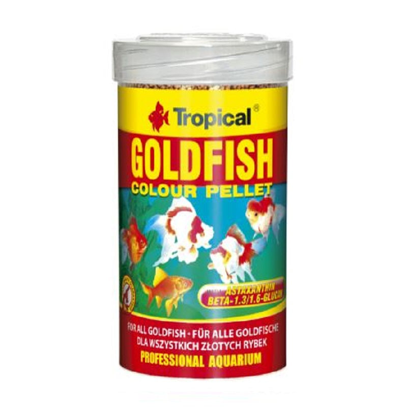 Tropical Goldfish Colour Pallet Tropical