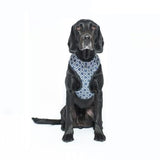 Mog And Bone Neoprene Harness Navy Ikat