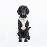 Mog And Bone Neoprene Harness Oatmeal Cross