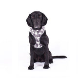 Mog And Bone Neoprene Harness Black Leaf