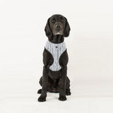 Mog And Bone Neoprene Harness Chambray Stripe