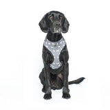 Mog And Bone Neoprene Harness Grey Dog