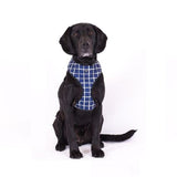 Mog And Bone Neoprene Harness Navy Check