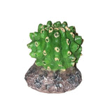 Ultimate Reptile Suppliers Dimpled Ball Cactus Small