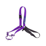 Gentle Leader Easy Walk Harness Purple