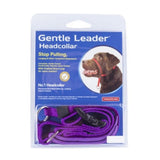 Gentle Leader Headcollar (Purple)