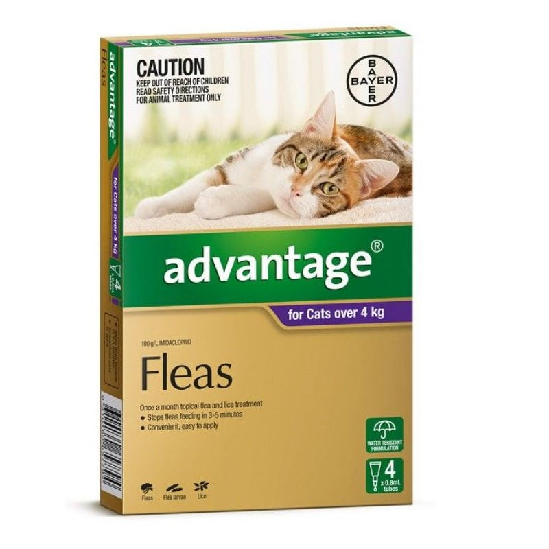 Advantage Flea Treatment For Large Cats Over 4kg Advantage