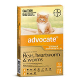 Advocate For Small Cats Up To 4kg Advocate