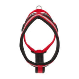 Halti Comfy Harness