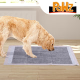 PaWz 100 Pcs 60x60cm Charcoal Pet Puppy Dog Toilet Training Pads Ultra Absorbent PaWz