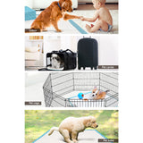200pcs Puppy Dog Pet Training Pads Cat Toilet 60 x 60cm Super Absorbent Indoor Disposable i.Pet