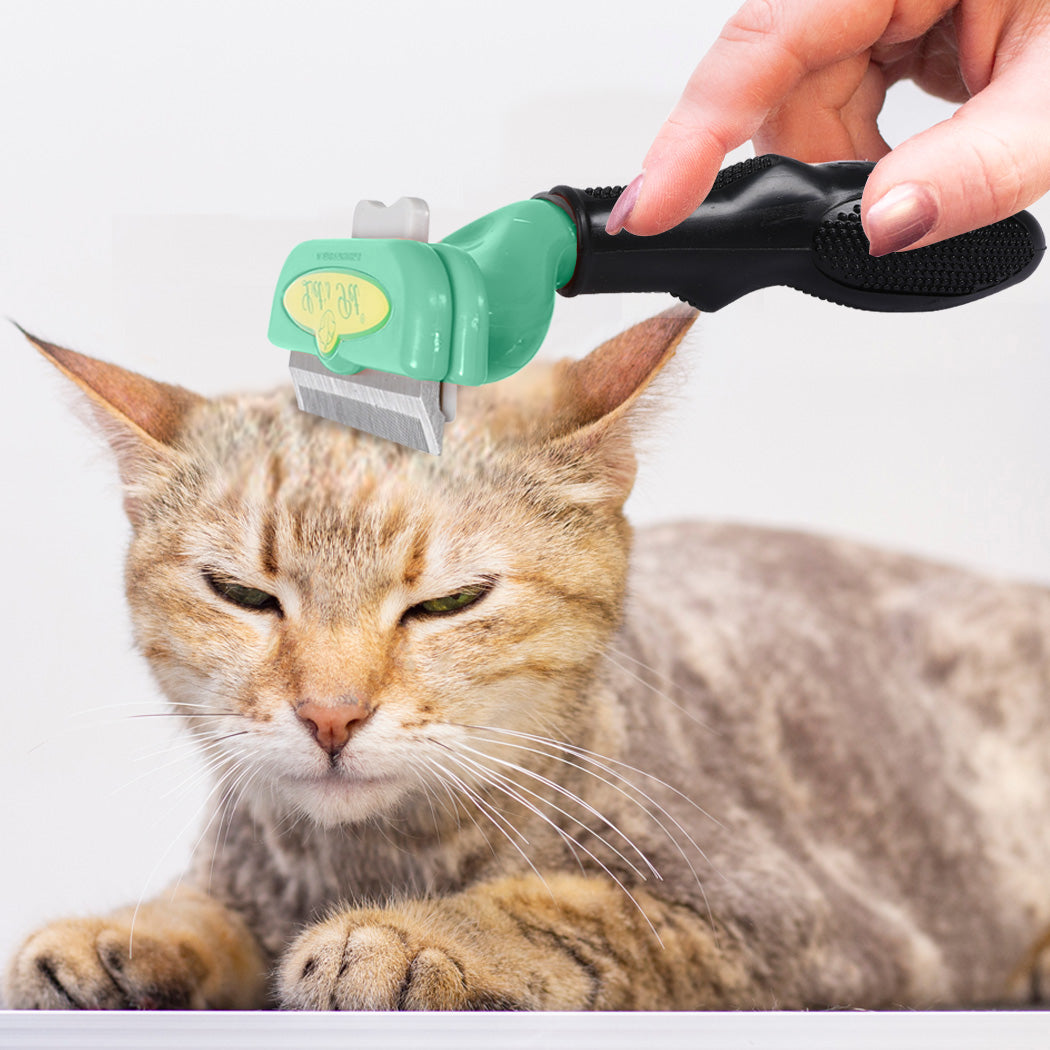 PaWz Pet Dog Cat Comb Massager Grooming Brush Relaxing Hair Removal Tool S PaWz