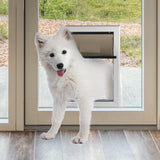 PaWz Aluminium Pet Access Door Dog Cat Dual Flexi Flap For Wooden Wall M PaWz