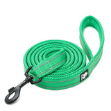 Reflective Pet Leash 2 meters Green L Petsleisure