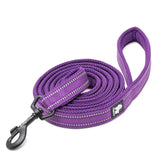 Reflective Pet Leash 2 meters Purple L Petsleisure