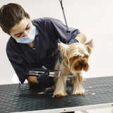 Floofi Pet Trimmer Set Upgrade Version Floofi