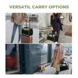 Floofi Portable Pet Carrier-M Size (Green) FI-PC-136-FCQ Petsleisure