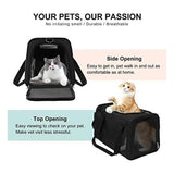 Floofi Portable Pet Carrier-M Size (Black) FI-PC-133-FCQ Petsleisure