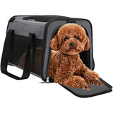 Floofi Portable Pet Carrier-L Size (Grey) FI-PC-138-FCQ Petsleisure