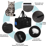 Floofi Portable Pet Carrier-L Size (Black) FI-PC-137-FCQ Petsleisure
