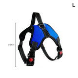 FLOOFI Dog Harness L Size (Blue) FI-PC-155-XL Petsleisure