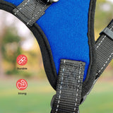 FLOOFI Dog Harness XL Size (Blue) FI-PC-159-XL Petsleisure
