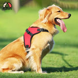 FLOOFI Dog Harness XL Size (Red) FI-PC-160-XL Petsleisure