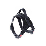 FLOOFI Dog Harness L Size (Black) FI-PC-157-XL Petsleisure