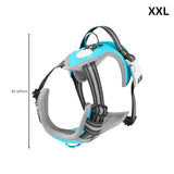 FLOOFI Dog Harness Vest XXL Size (Blue) FI-PC-184-XL Petsleisure